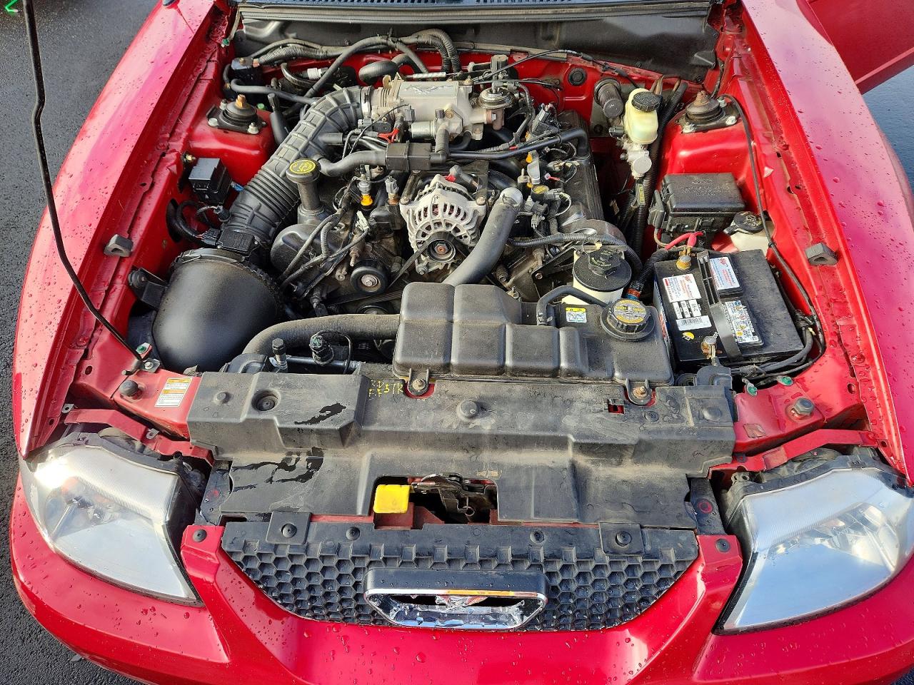 2000 FORD MUSTANG GT photo 11