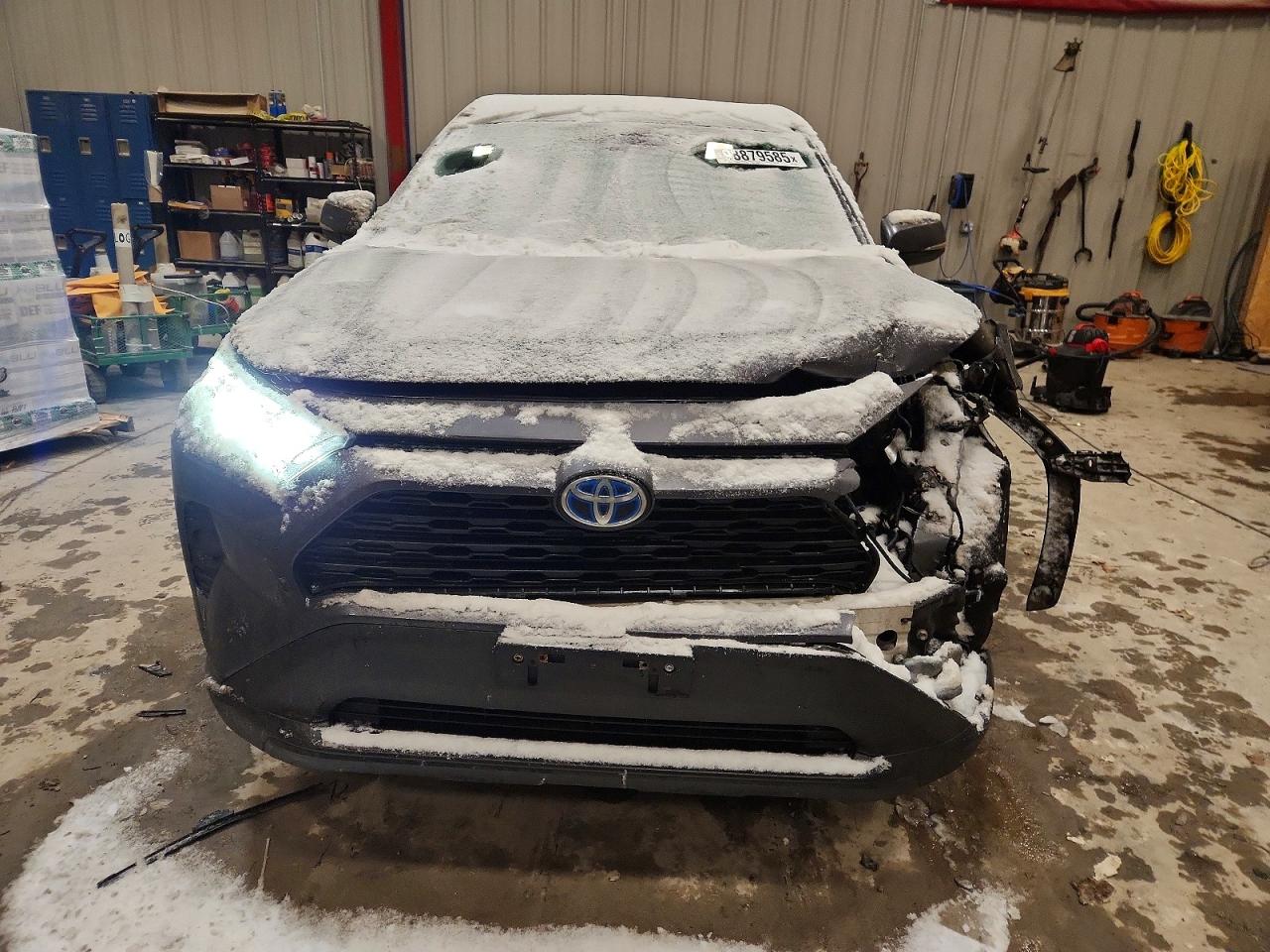 2019 TOYOTA RAV4 XLE photo 5