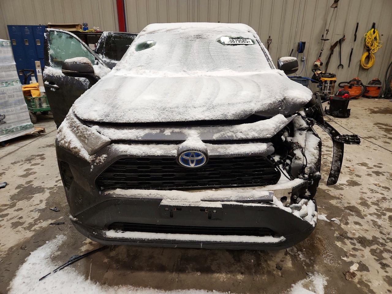 2019 TOYOTA RAV4 XLE photo 11
