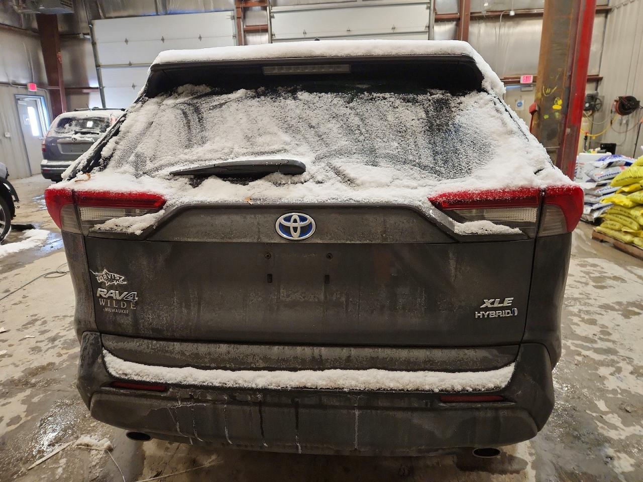 2019 TOYOTA RAV4 XLE photo 6