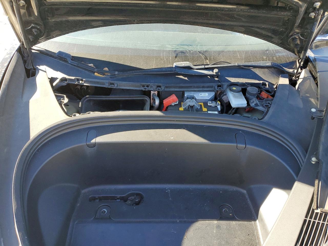2019 TESLA MODEL 3 photo 11