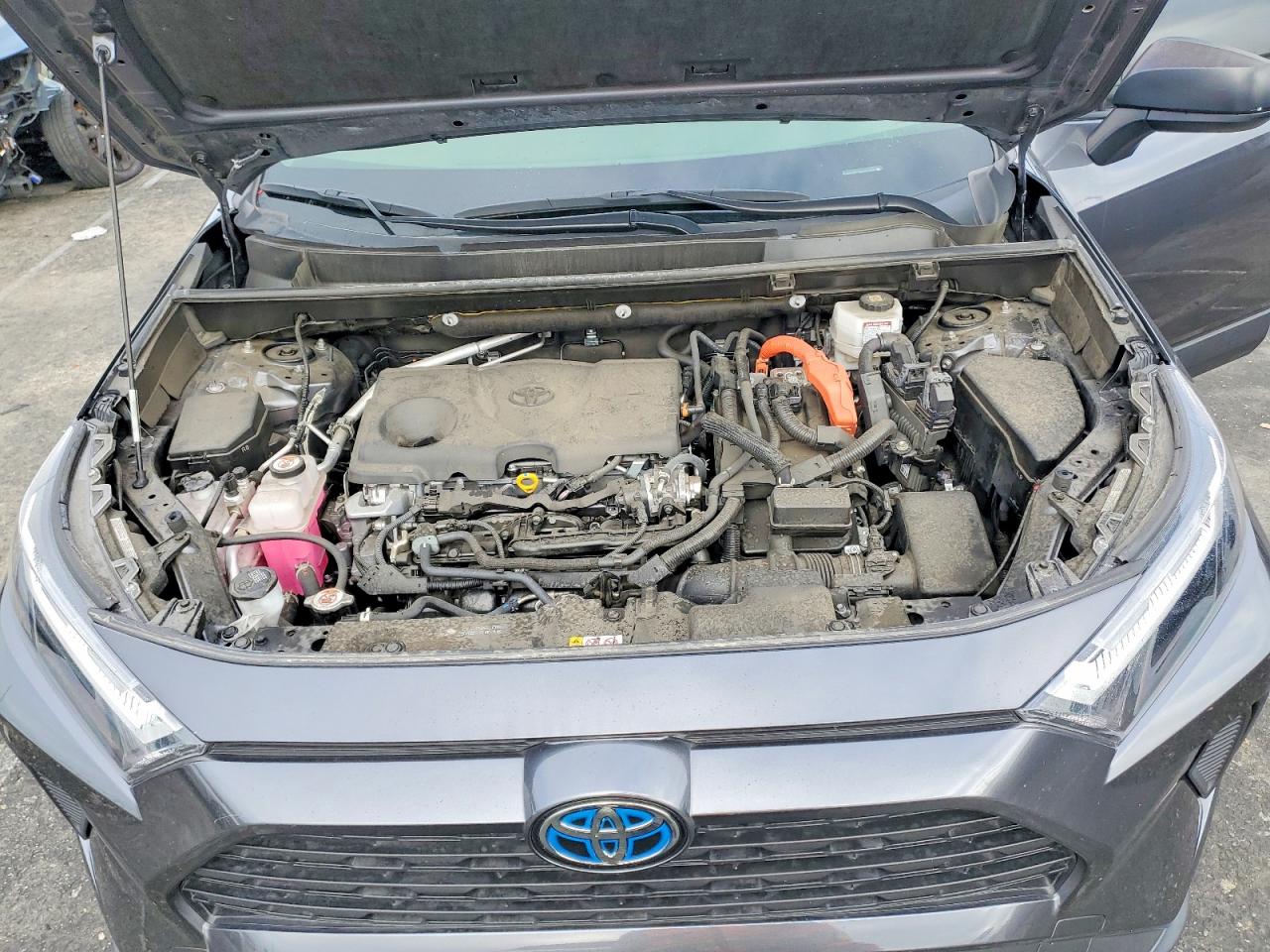 2024 TOYOTA RAV4 LE photo 12