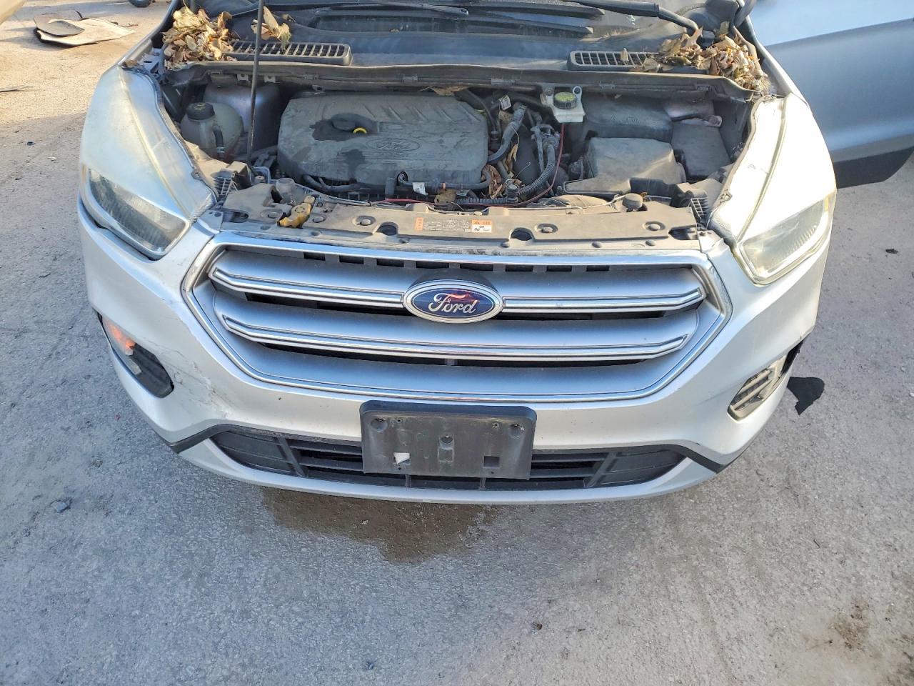 2017 FORD ESCAPE SE photo 12