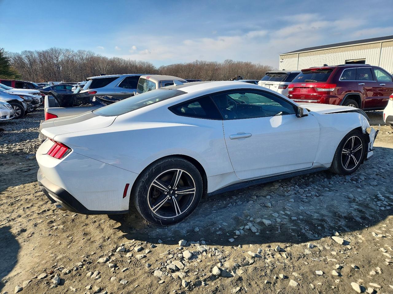 2024 FORD MUSTANG photo 7