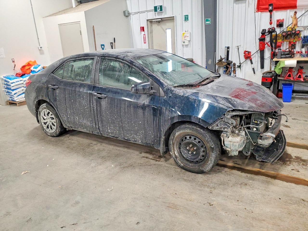 2019 TOYOTA COROLLA L photo 4