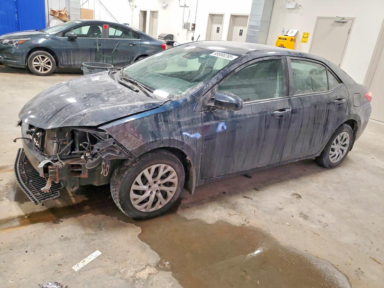 2019 TOYOTA COROLLA