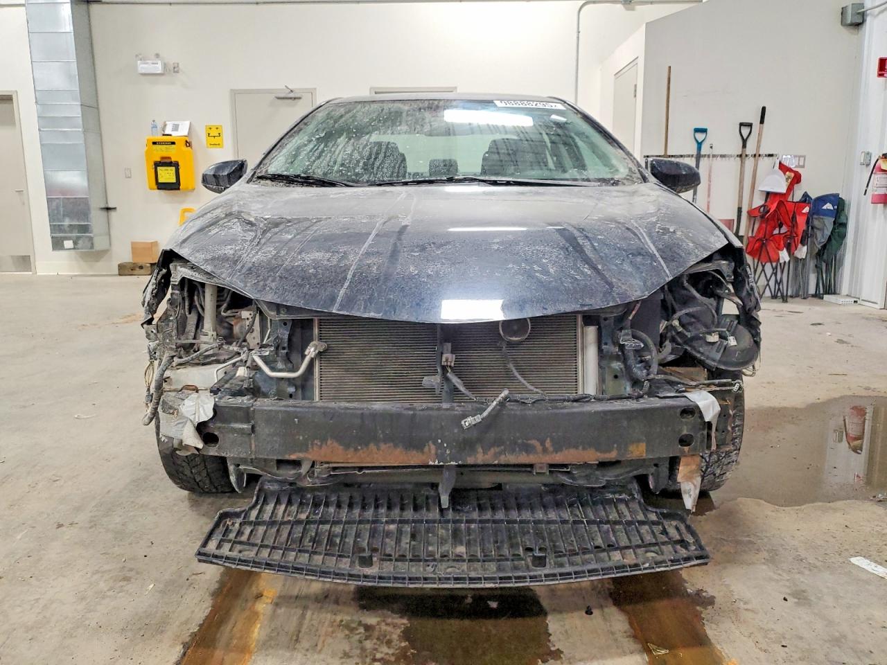 2019 TOYOTA COROLLA L photo 5