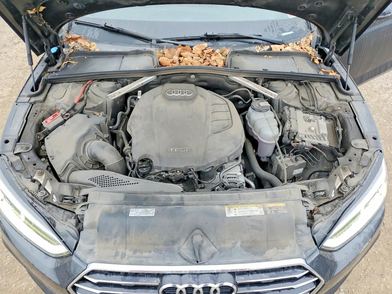 2019 AUDI A5 PREMIUM photo 11