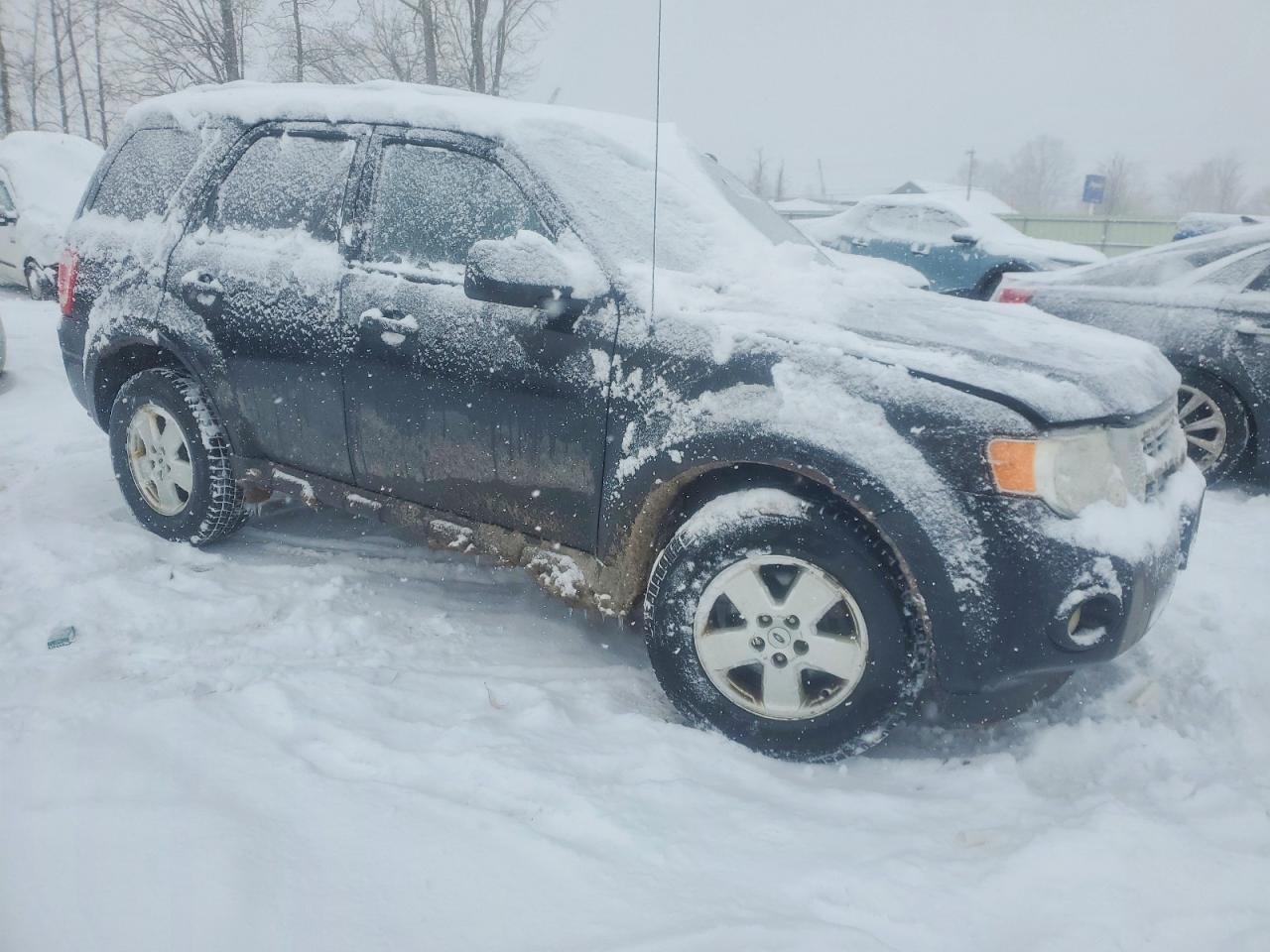 2012 FORD ESCAPE XLT photo 4