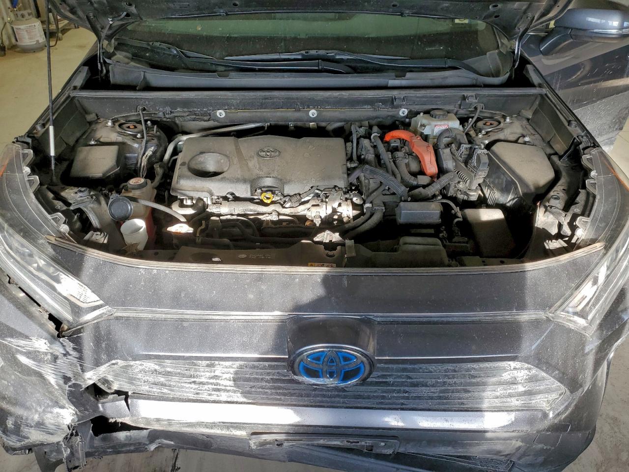 2019 TOYOTA RAV4 XLE photo 23