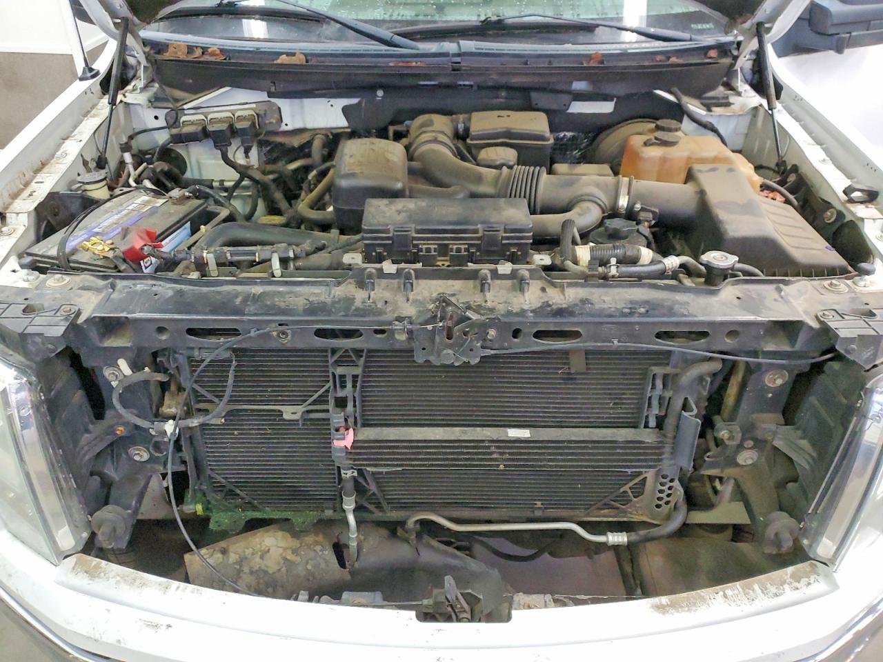 2009 FORD F150 SUPERCREW photo 11