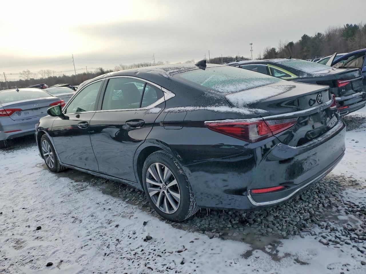 2021 LEXUS ES 250 BASE photo 2