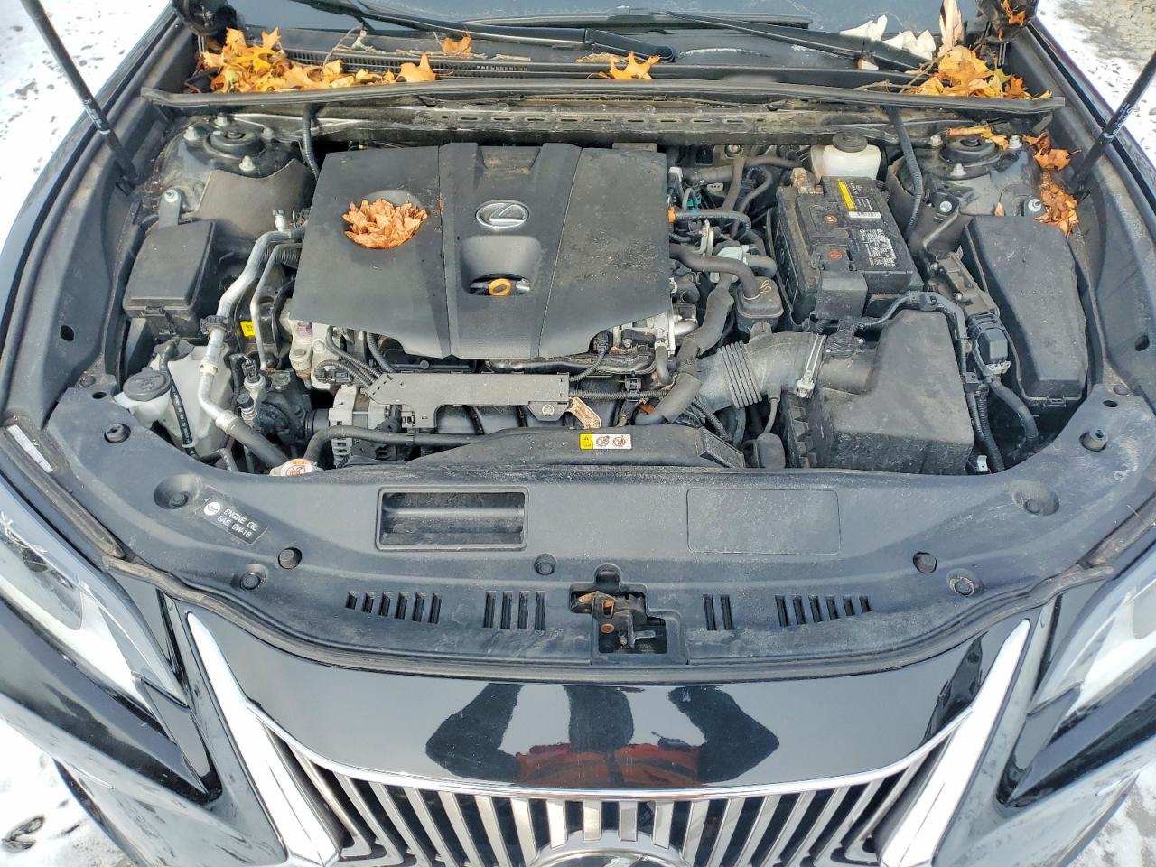 2021 LEXUS ES 250 BASE photo 11
