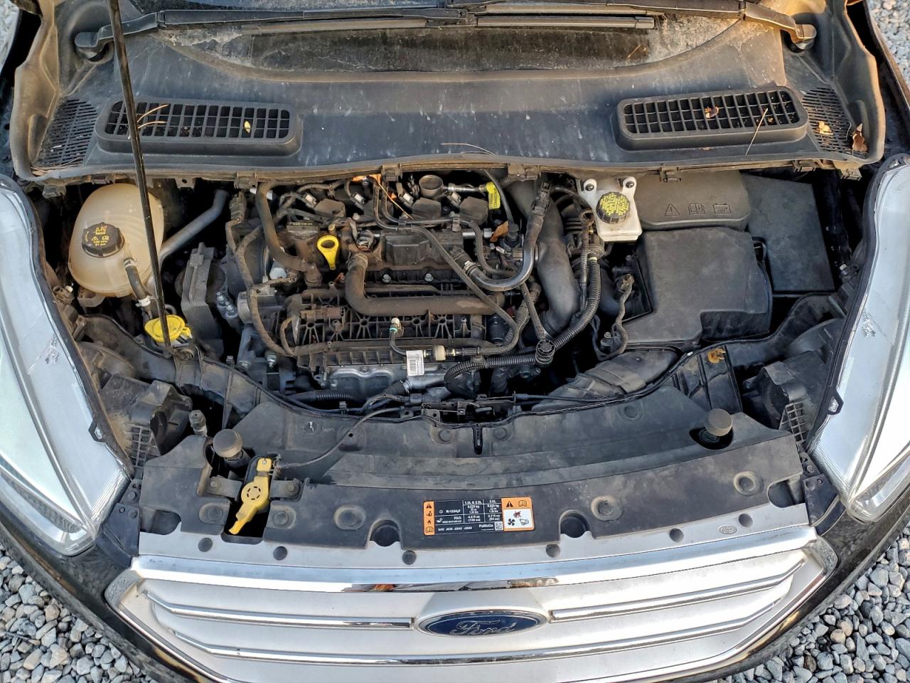 2019 FORD ESCAPE SE photo 12
