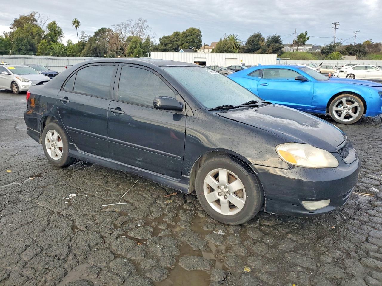 2003 TOYOTA COROLLA CE photo 4