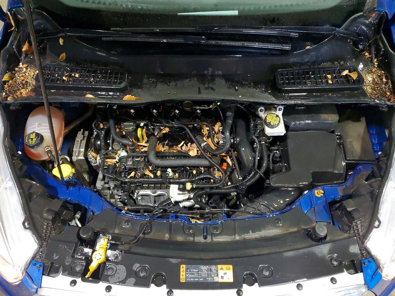 2019 FORD ESCAPE SE photo 12
