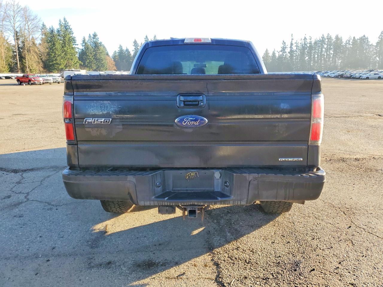 2014 FORD F150 SUPERCREW photo 6