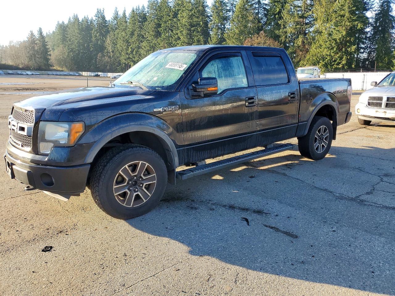 2014 FORD F150