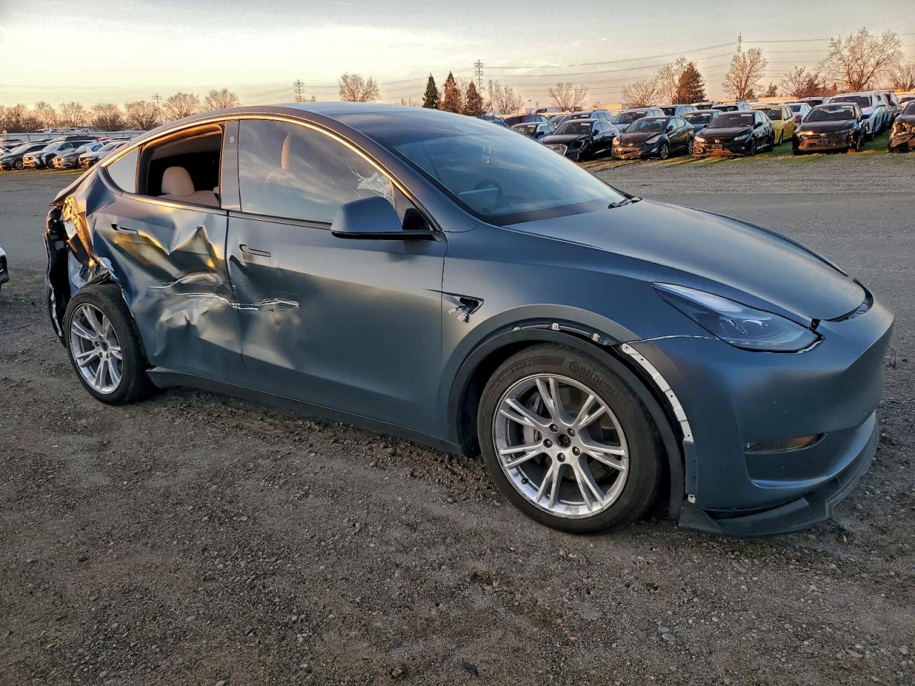 2021 TESLA MODEL Y photo 4