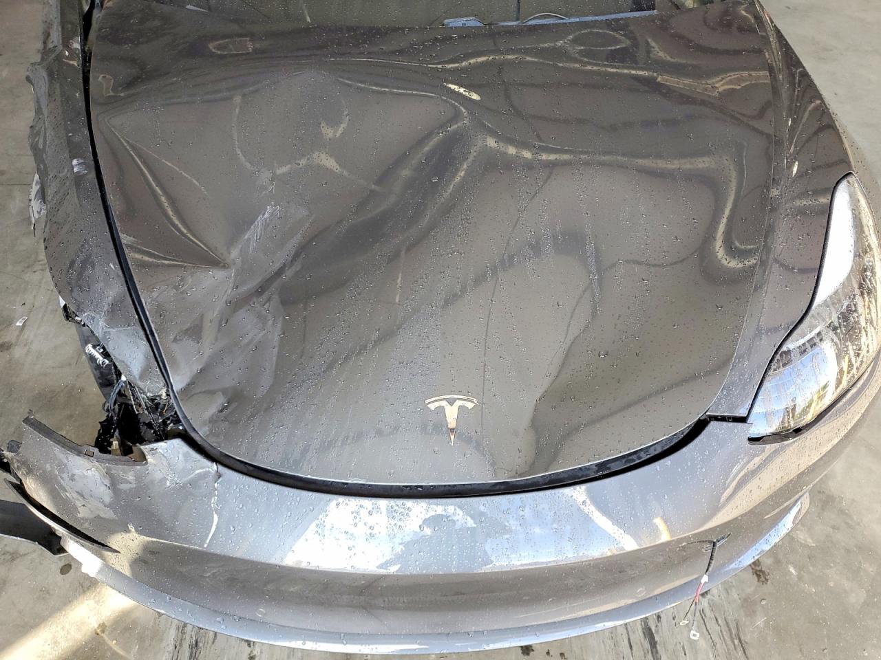 2019 TESLA MODEL 3 photo 11