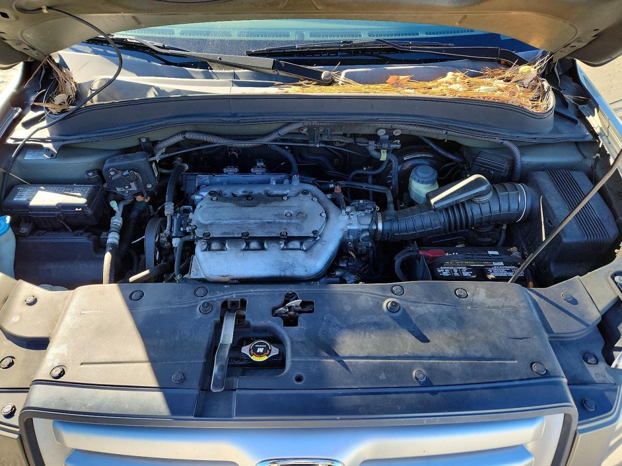 2008 HONDA PILOT photo 12