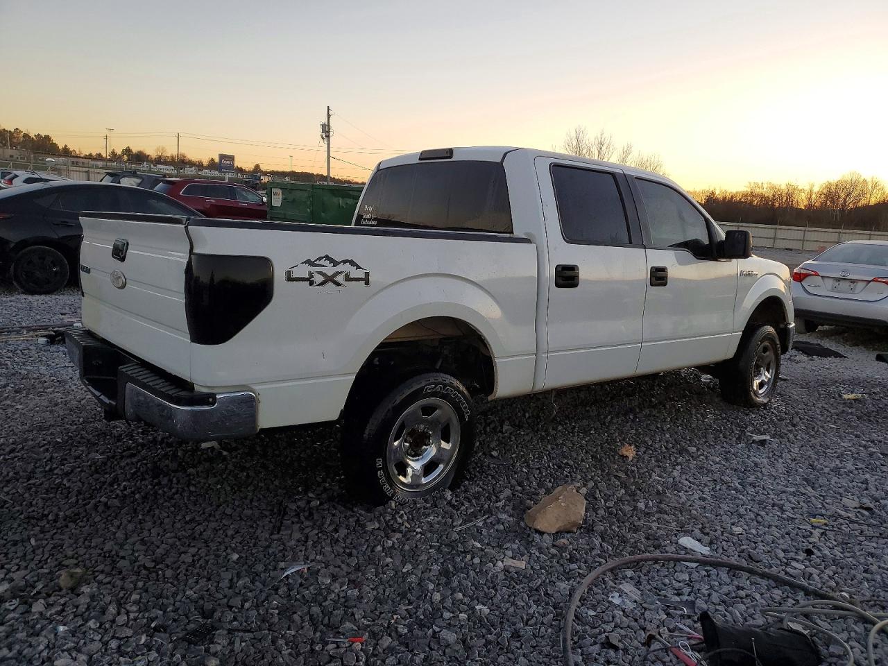 2010 FORD F150 SUPERCREW photo 3