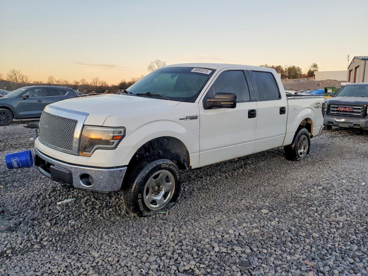 2010 FORD F150