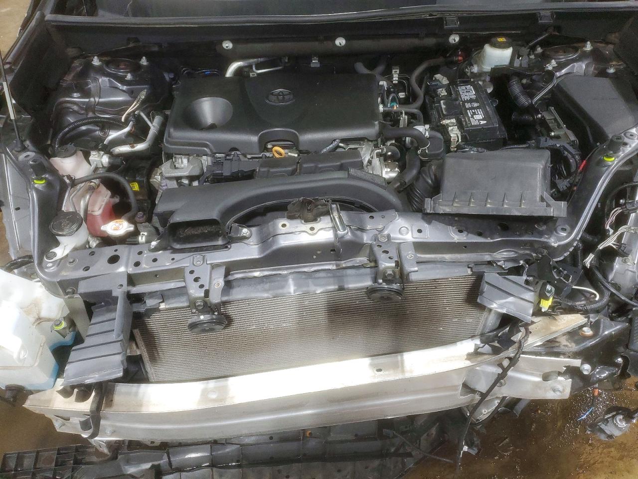 2019 TOYOTA RAV4 LE photo 11
