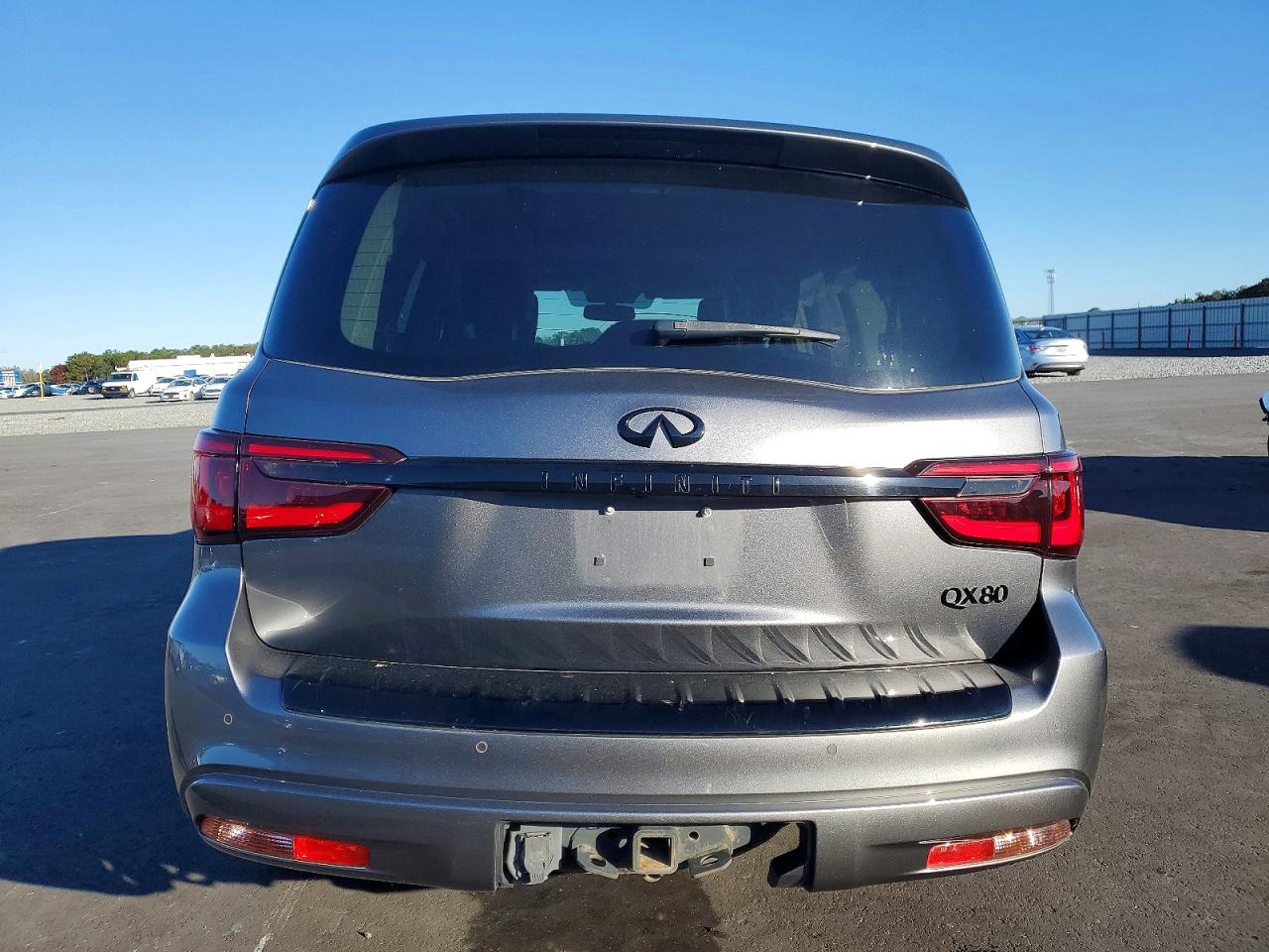 2019 INFINITI QX80 LUXE photo 6
