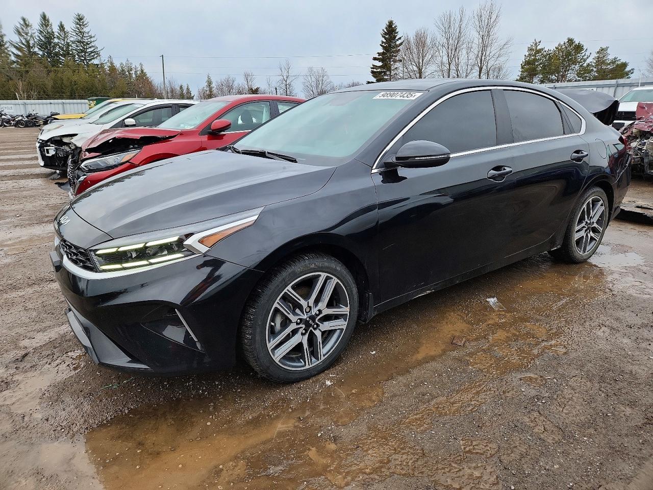 2024 KIA FORTE