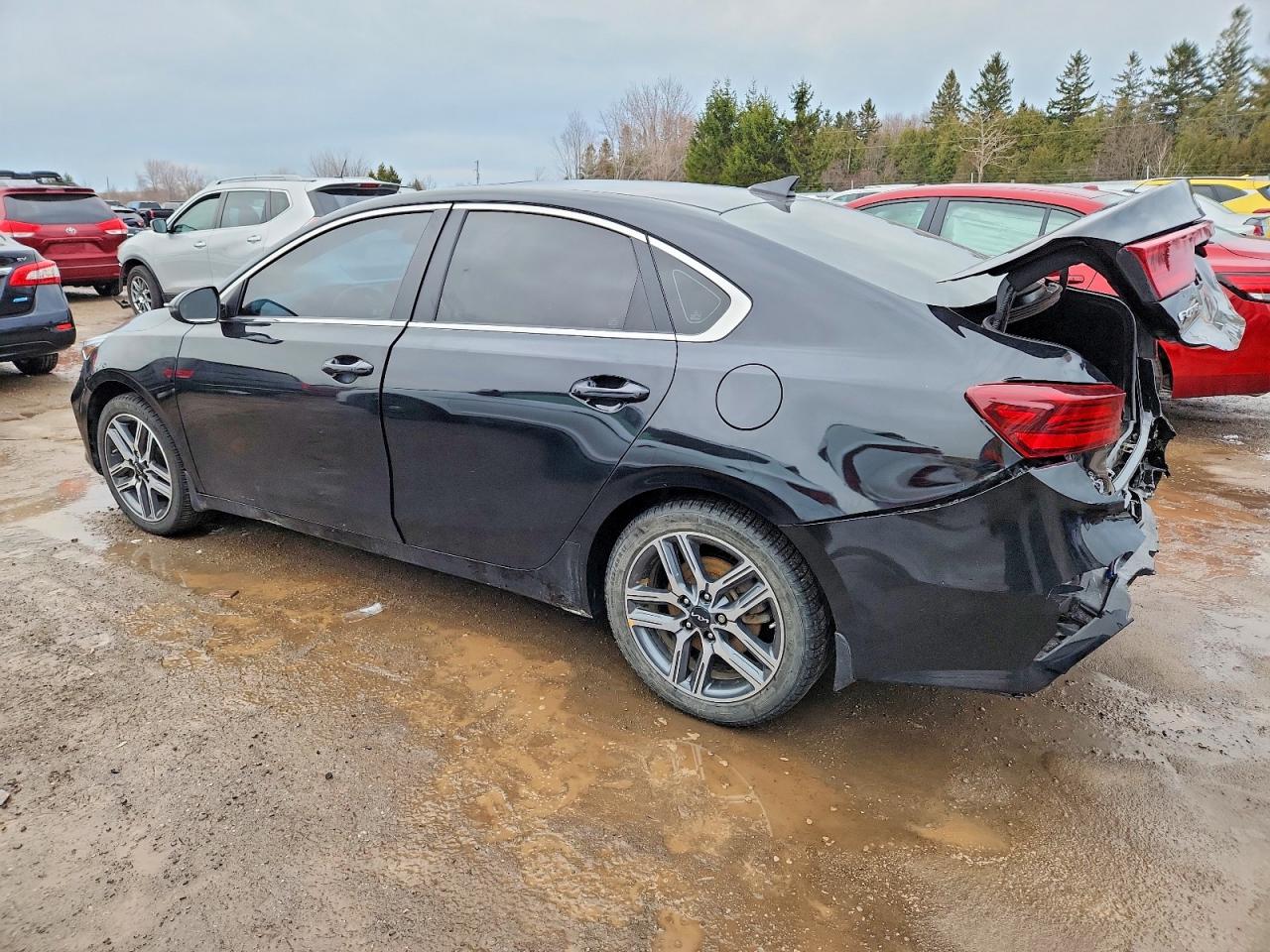 2024 KIA FORTE EX photo 2