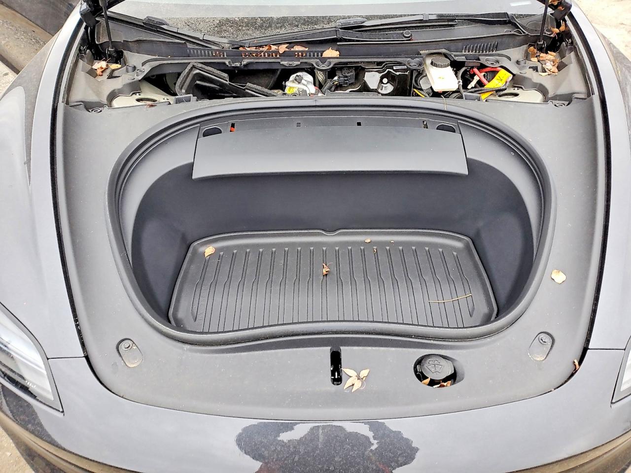 2024 TESLA MODEL 3 photo 11