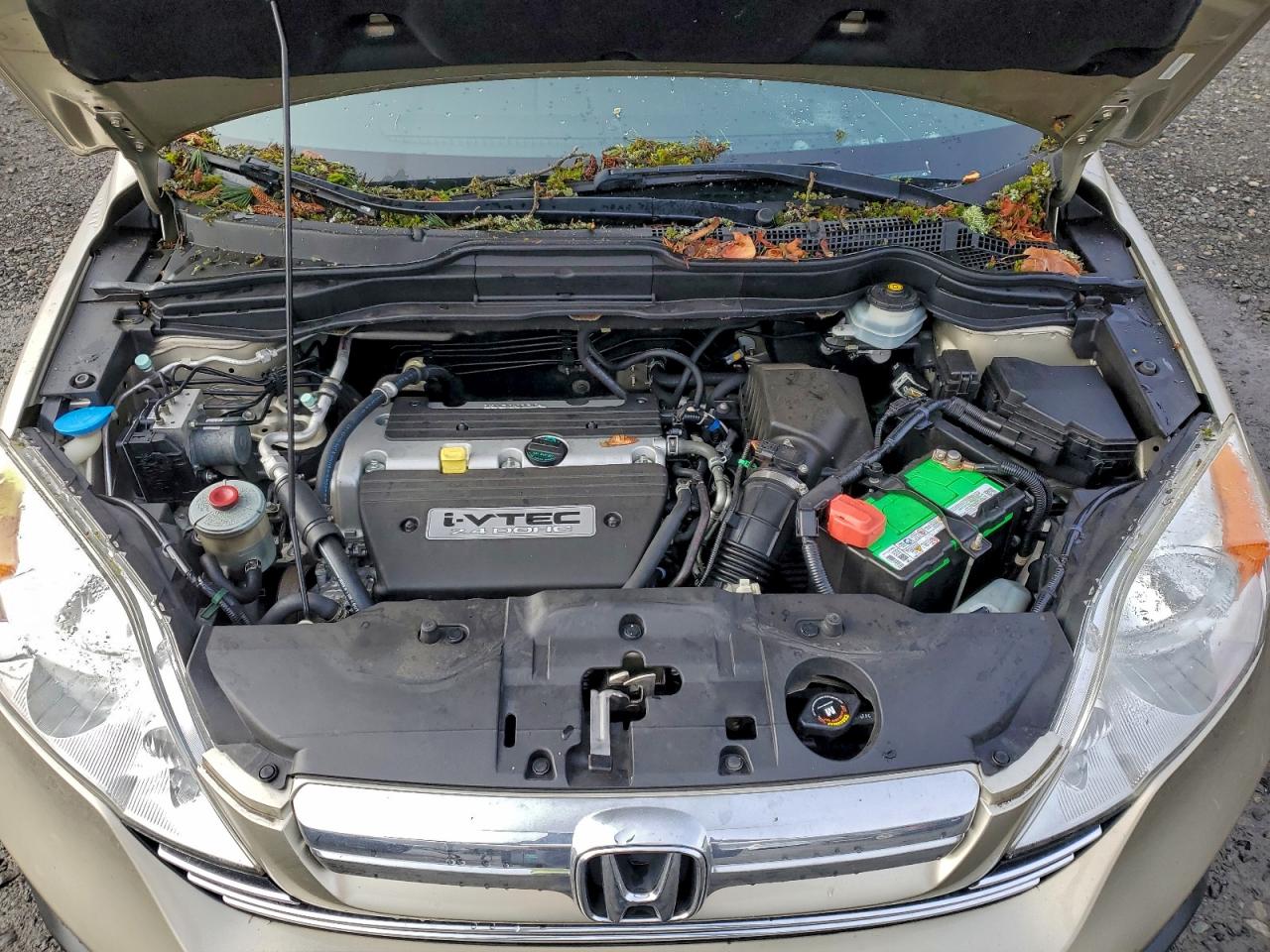 2008 HONDA CR-V EXL photo 34