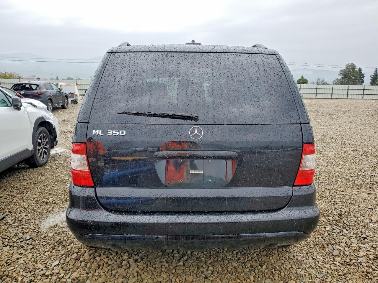 2004 MERCEDES-BENZ ML 350 photo 11