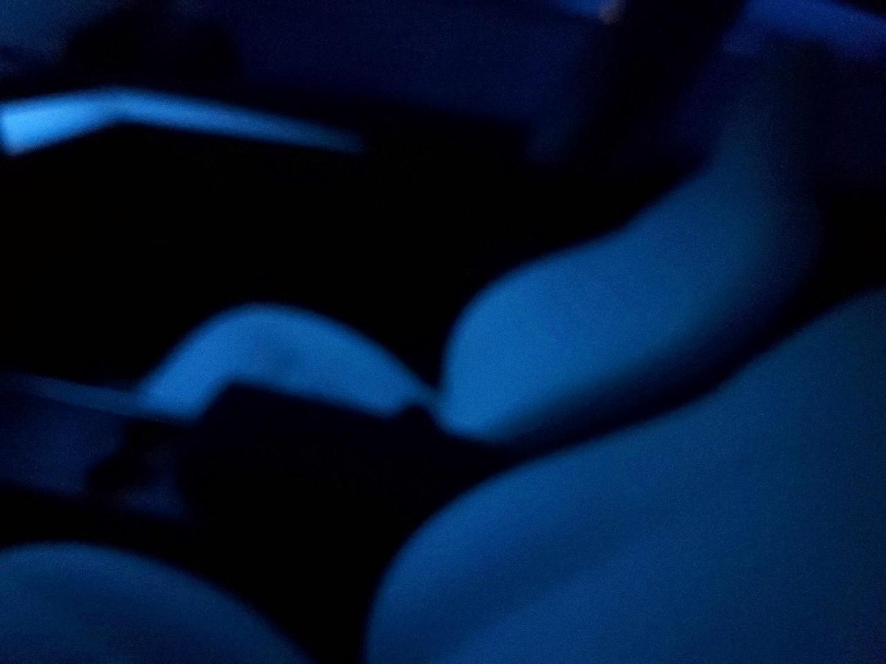 2023 TESLA MODEL 3 photo 8