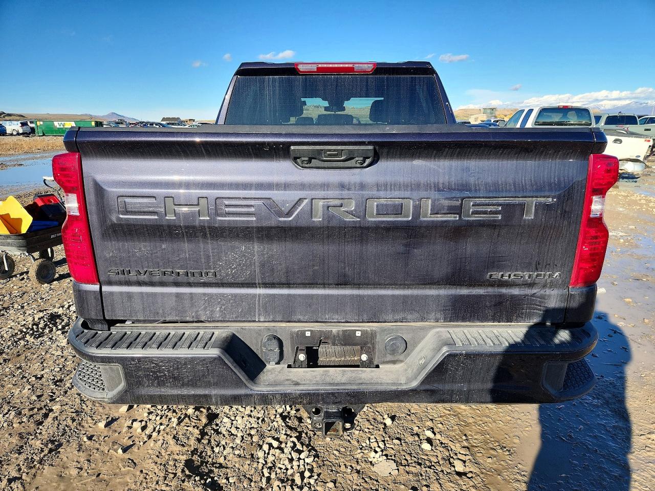 2023 CHEVROLET SILVERADO K1500 CUSTOM photo 6