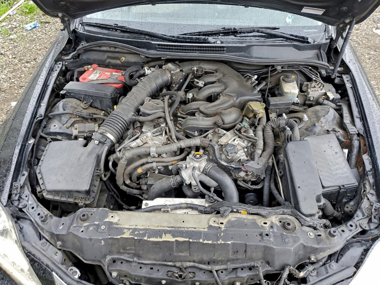 2008 LEXUS IS 250 photo 11