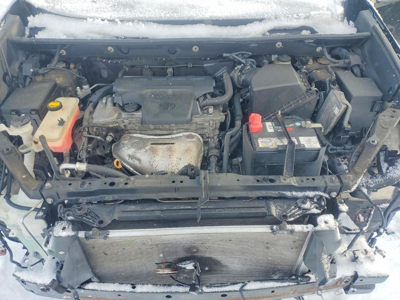 2016 TOYOTA RAV4 XLE photo 12