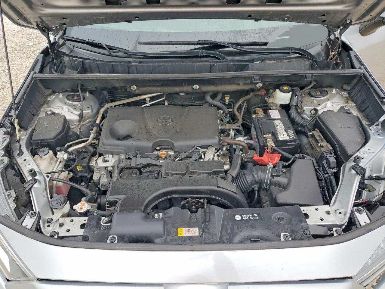 2019 TOYOTA RAV4 XLE photo 12