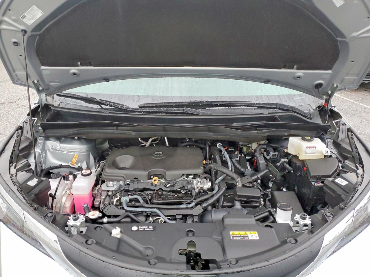 2025 TOYOTA SIENNA XLE photo 12