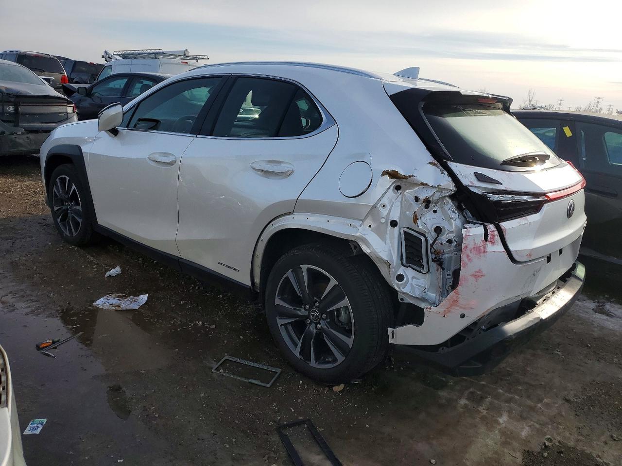 2020 LEXUS UX 250H photo 2