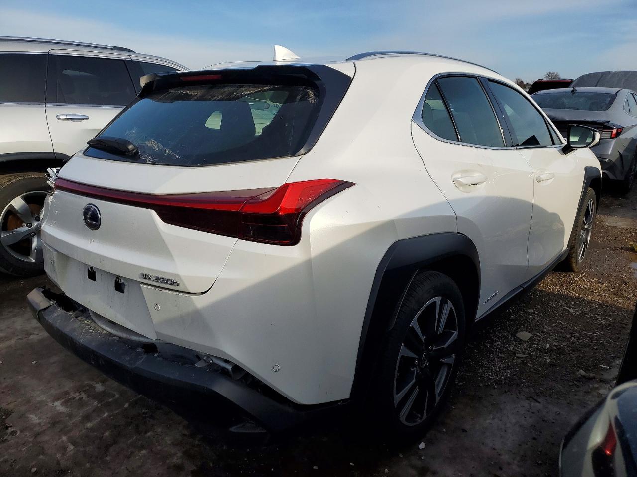 2020 LEXUS UX 250H photo 3