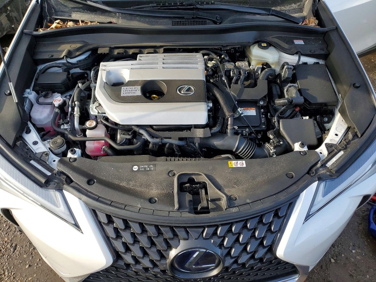 2020 LEXUS UX 250H photo 11