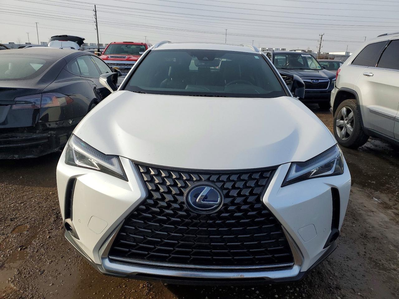 2020 LEXUS UX 250H photo 5