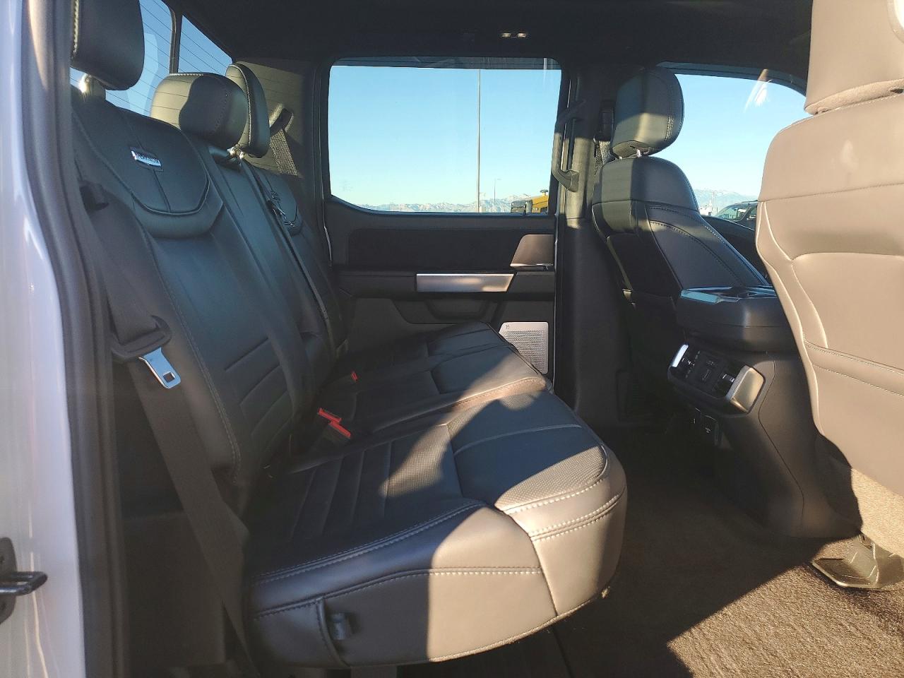 2025 FORD F150 PLATINUM photo 19