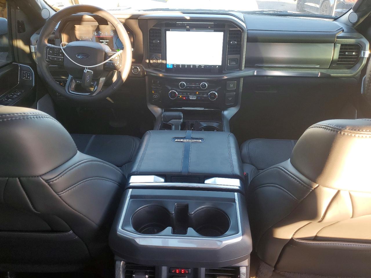 2025 FORD F150 PLATINUM photo 15