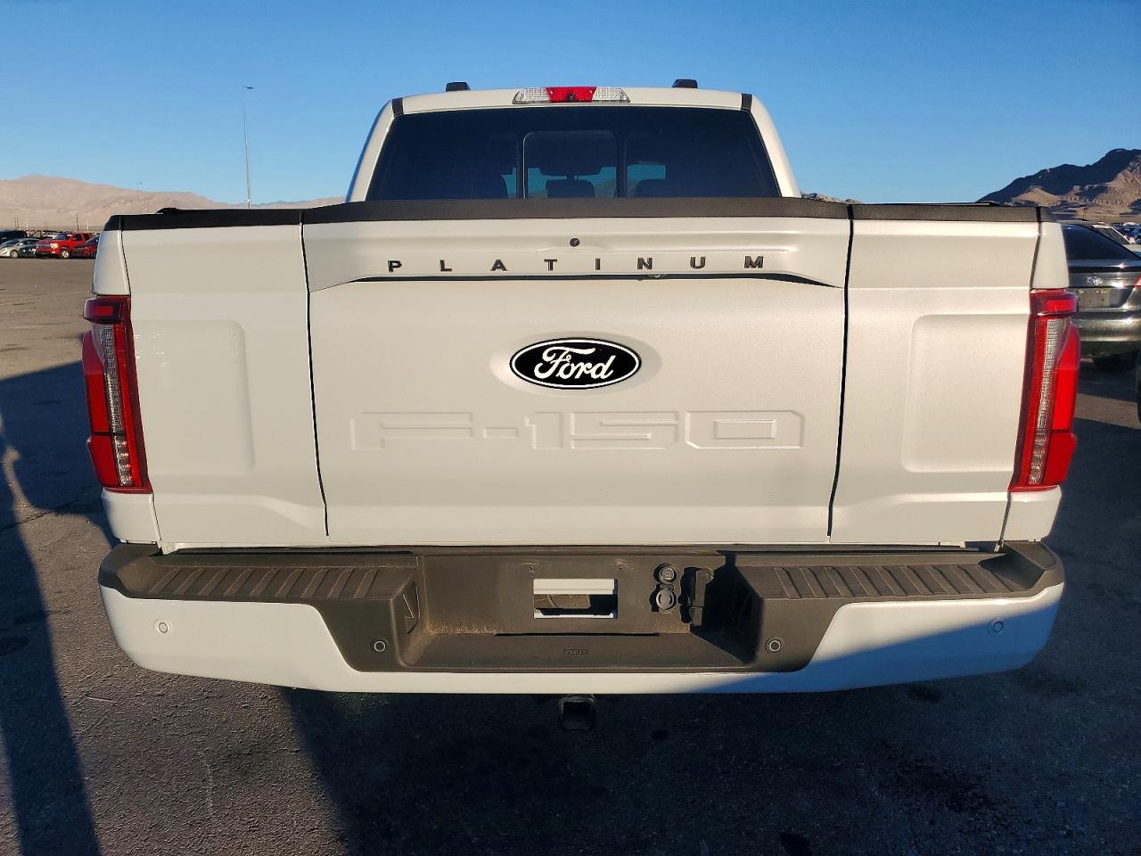 2025 FORD F150 PLATINUM photo 11