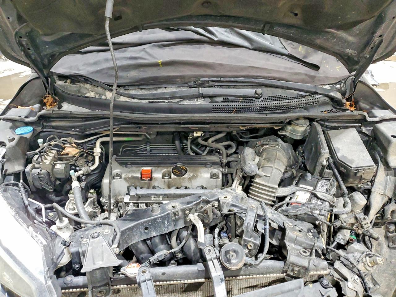 2014 HONDA CR-V LX photo 12
