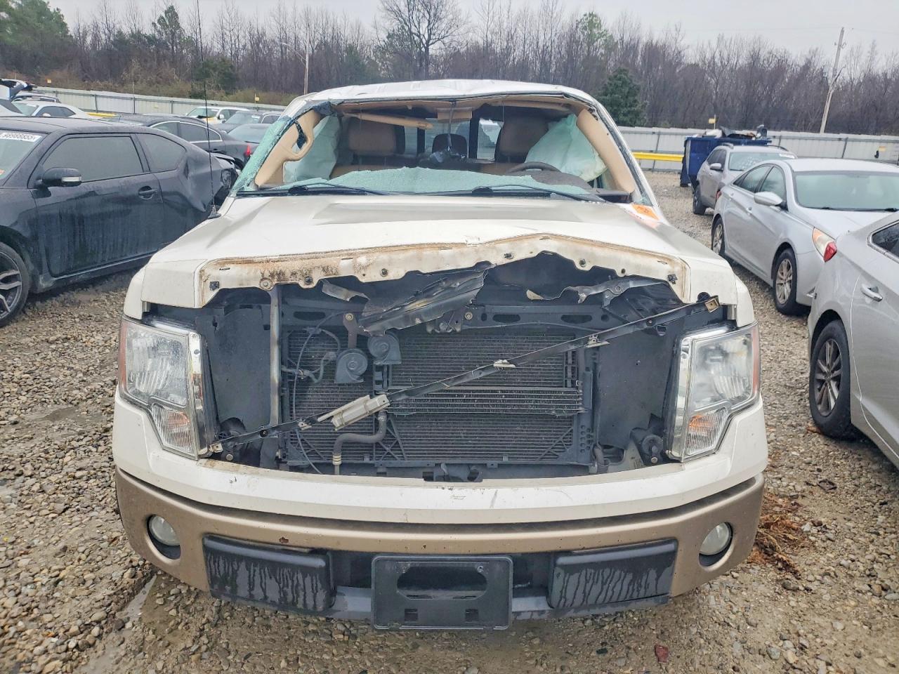 2011 FORD F150 SUPERCREW photo 5