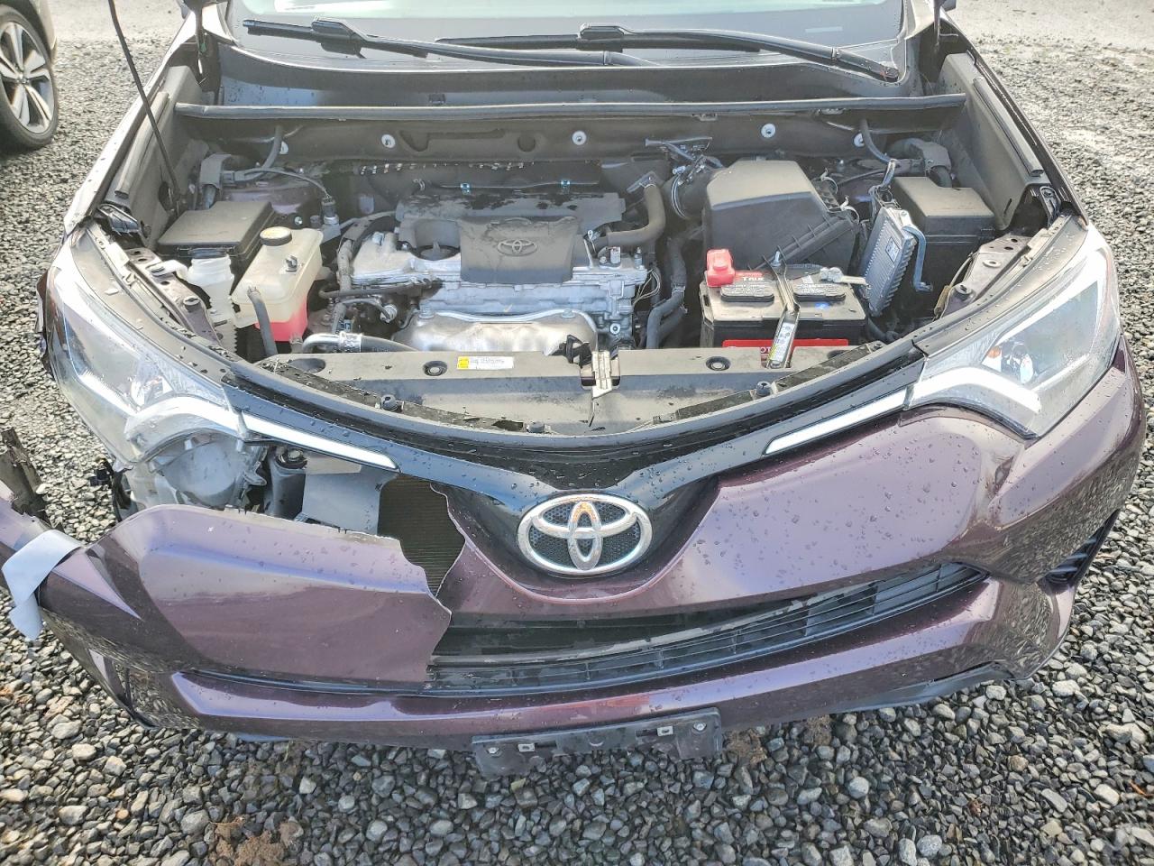2016 TOYOTA RAV4 LE photo 12